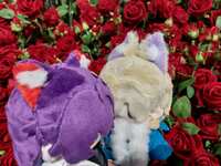 https://images.plurk.com/1gVRGwyz5pxTqYMCqS4Lcf.jpg