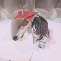 https://images.plurk.com/1gfeIwSoif2e99cA5u9OVQ.jpg