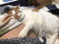 https://images.plurk.com/1gga3WFvxObl8BYEqRNh5n.jpg