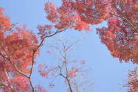 https://images.plurk.com/1giGtFCj81TZJ3nmFGLusq.jpg