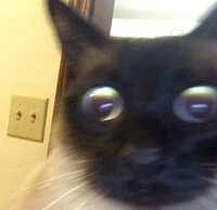 https://images.plurk.com/1go5ALk6ybEoKr4lrM8aJs.jpg