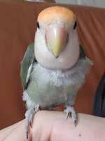 https://images.plurk.com/1gu1d0n6XMe8ZNrOE6ScMK.jpg