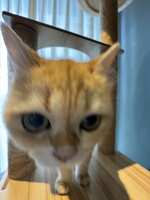 https://images.plurk.com/1h6J1YpJgf7Bpf85WmLolF.jpg