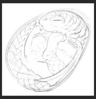 https://images.plurk.com/1h7pA4s6ekCpjnxLAbkArE.jpg