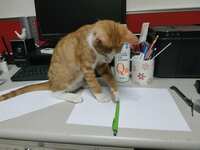 https://images.plurk.com/1hIz6d54uuyFLz5yNU3S5i.jpg