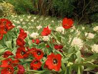 https://images.plurk.com/1hQRxRl28fqfGirztHNcPf.jpg