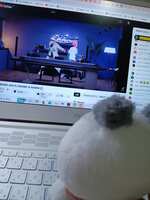 https://images.plurk.com/1hhAimtWxjFORV2Cx6MnN1.jpg