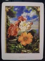 https://images.plurk.com/1hksMowq4S9TNUhDK9QP01.png