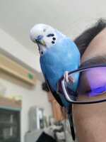 https://images.plurk.com/1hmendWMyZxRD0l77Ow6OY.jpg