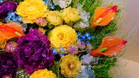 https://images.plurk.com/1hs7z0KVsjJTcIOJqlOovy.jpg