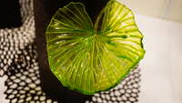 https://images.plurk.com/1iP41DPL3zUWWfpmxffTWw.jpg
