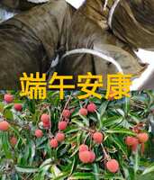 https://images.plurk.com/1iWZ0Lz9hTZglvpfB10YhF.jpg