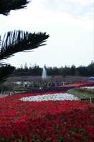 https://images.plurk.com/1igcmwEMFX8xGriyi9dBCu.jpg