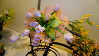 https://images.plurk.com/1imwqEhL1a91JnGQzULBfj.jpg