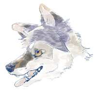 https://images.plurk.com/1iqQ5LiDzavoc8Q1FADUej.jpg