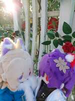 https://images.plurk.com/1it6QspswnCIoyMsxinX5o.jpg