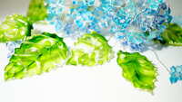 https://images.plurk.com/1j6aSWlWUnBH4XK07Dt7hb.jpg