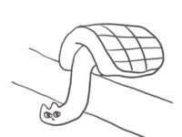 https://images.plurk.com/1j7PxyK53mAkNJjT9gNEdu.png