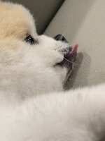 https://images.plurk.com/1jCX46l19ONvSwyEbW5AZr.jpg