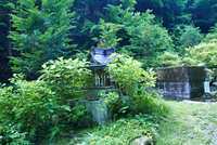 https://images.plurk.com/1jDktzsTmN6sW5byXln4rv.jpg
