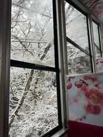 https://images.plurk.com/1jO1Pp1SIcpJKcjTLgpp1I.jpg