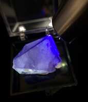 https://images.plurk.com/1jQtNJzqEgHNzVGc0kzsDM.jpg