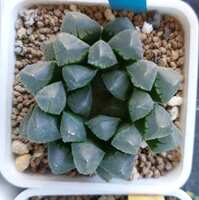 https://images.plurk.com/1jUEpOtf8H3vqbcIRbiVYB.jpg