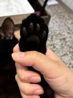 https://images.plurk.com/1jcHXdYYqiD8OI16wI2k8L.jpg