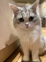 https://images.plurk.com/1jfJACVkHiizHukoFth4kB.jpg