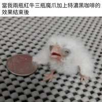 https://images.plurk.com/1jhx3PnhS3Uh1ldrjnmrdN.jpg