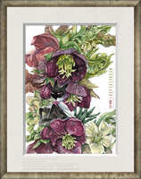 https://images.plurk.com/1jpB9RysLzG0Xw4DZvXw8X.jpg