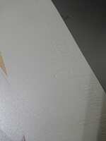 https://images.plurk.com/1jtwZs370nyvCOX9OWqez9.jpg