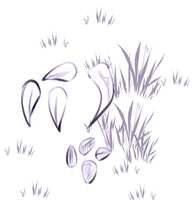 https://images.plurk.com/1jyaOEvMwbACQMpK6AOv7c.jpg