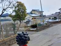 https://images.plurk.com/1k08qnJaI6QMncldf0GGye.jpg