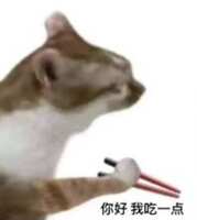 https://images.plurk.com/1k0RbXrVPcEmJ9S5Abe9JS.jpg