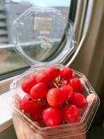 https://images.plurk.com/1k3eliRjoZGUprMwj47ywy.jpg