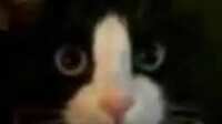 https://images.plurk.com/1kBkyS3DVjPlT2VXTWQMja.png