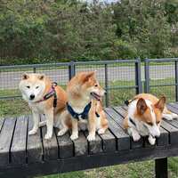 https://images.plurk.com/1kKOK7ojFpsT8HtV3hoRM7.jpg