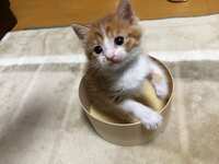 https://images.plurk.com/1kNB7lMhsIm8isSsy9LVw3.jpg