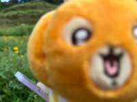 https://images.plurk.com/1kNYL0PBQkaH4mHtaThWIN.jpg