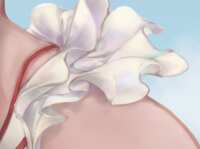 https://images.plurk.com/1kUExnX5tsQXSLkTewNUhS.png
