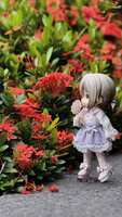 https://images.plurk.com/1kVxfwq64SySK1yJ9yRAnE.jpg
