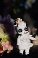https://images.plurk.com/1kbN1RYTWaUCN0nx6yZfrn.jpg