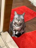 https://images.plurk.com/1keTEP68TRpqXRTOiU8MY9.jpg