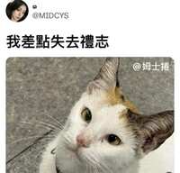 https://images.plurk.com/1kidQlYCpDbmAciQT1BlVR.jpg
