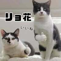 https://images.plurk.com/1kkZnLimB3zbk3gem2vV8e.jpg