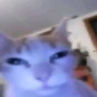 https://images.plurk.com/1kks07bSawemkw9Mvvs679.jpg