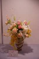 https://images.plurk.com/1ktgsaPWbp7gKr2cMxUJmK.jpg