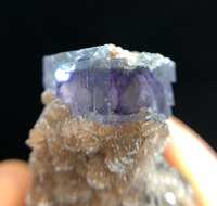https://images.plurk.com/1l0M83C0xSD9QriS7jrt29.jpg