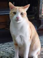 https://images.plurk.com/1lQPBRQDf3GCjpgSvyBlBS.jpg